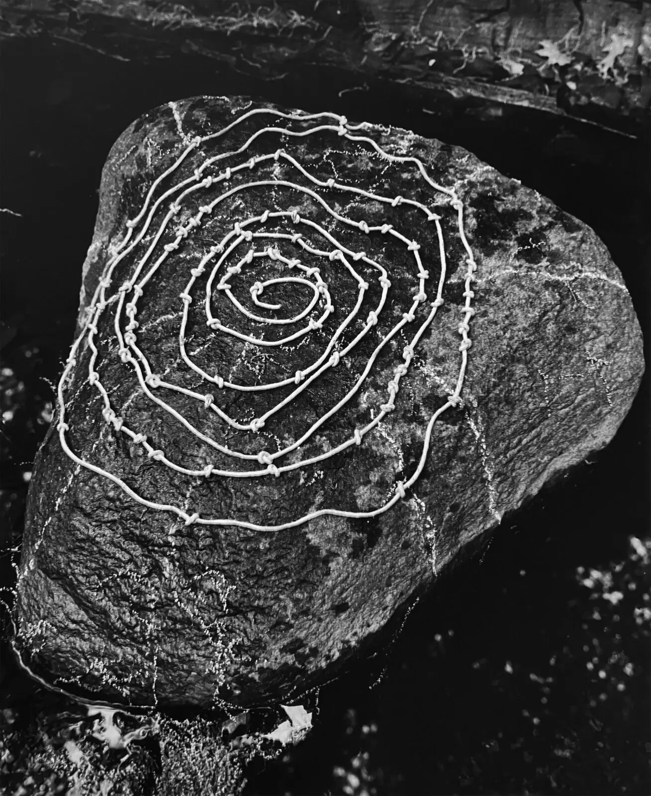 Dionne Lee, "Untitled Rock Drawing II," 2023, at Contemporary Arts Museum Houston. (Courtesy the artist and Petra Bibeau, New York)