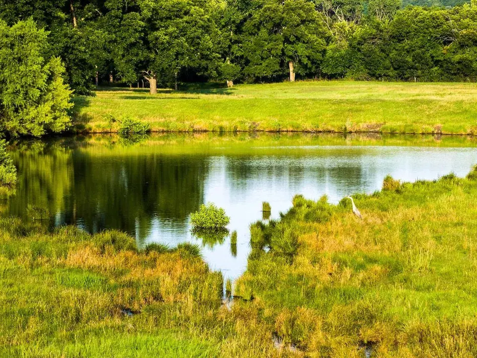 More than 2.5 miles of Clear Creek runs through the sprawling property, which is well-suited for outdoor recreation like hiking, biking, horseback riding, and camping.  (Photo by Hortenstine Ranch Company)