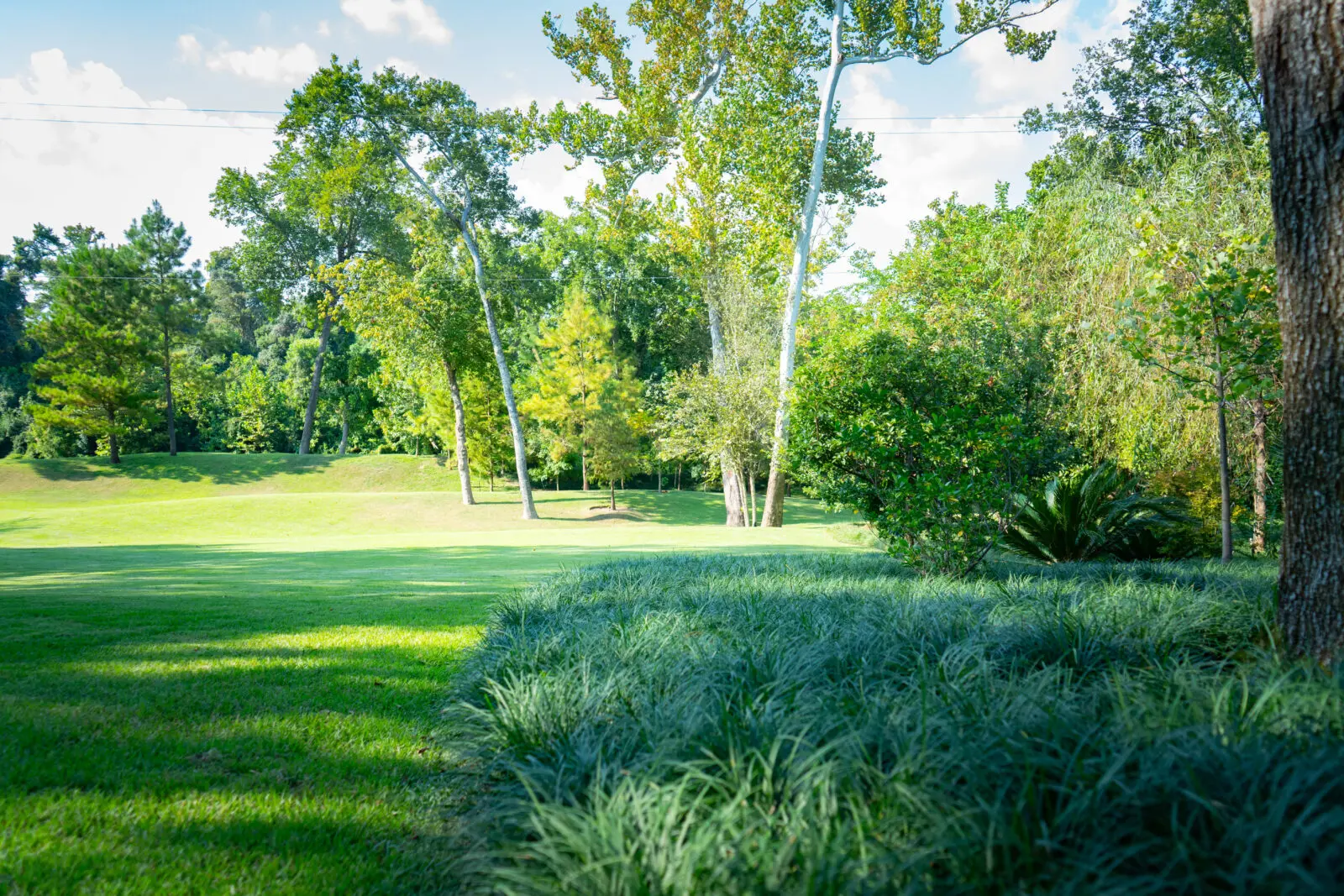 Mature specimen trees, formal hedging, layered evergreen structure and extensive groundcover were used to create immediate scale and continuity throughout the property.