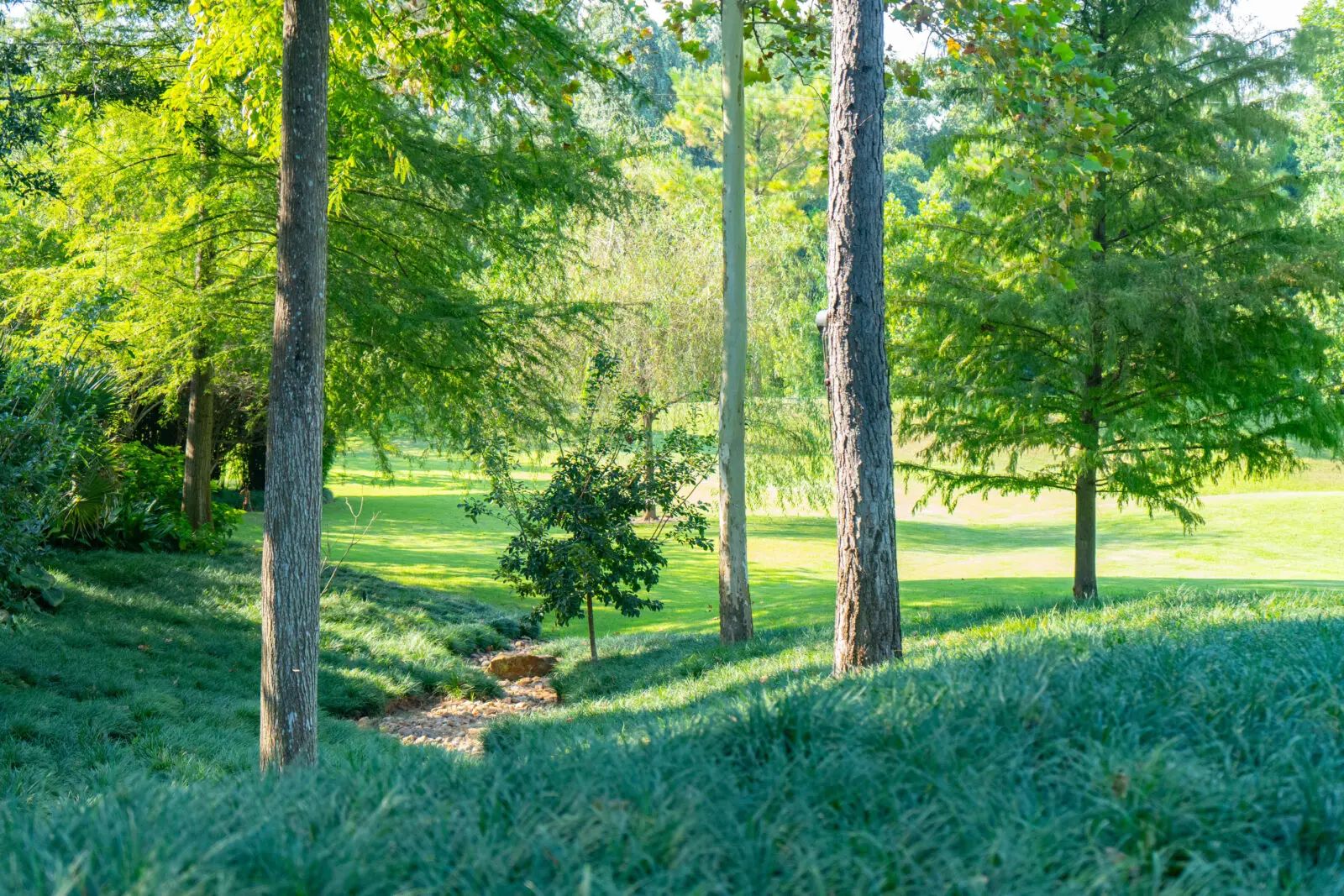 Moss boulders were incorporated into the landscape to help slow runoff and reduce erosion, while custom steel retaining structures were constructed along a ravine to support a granite walkway and planted screening.