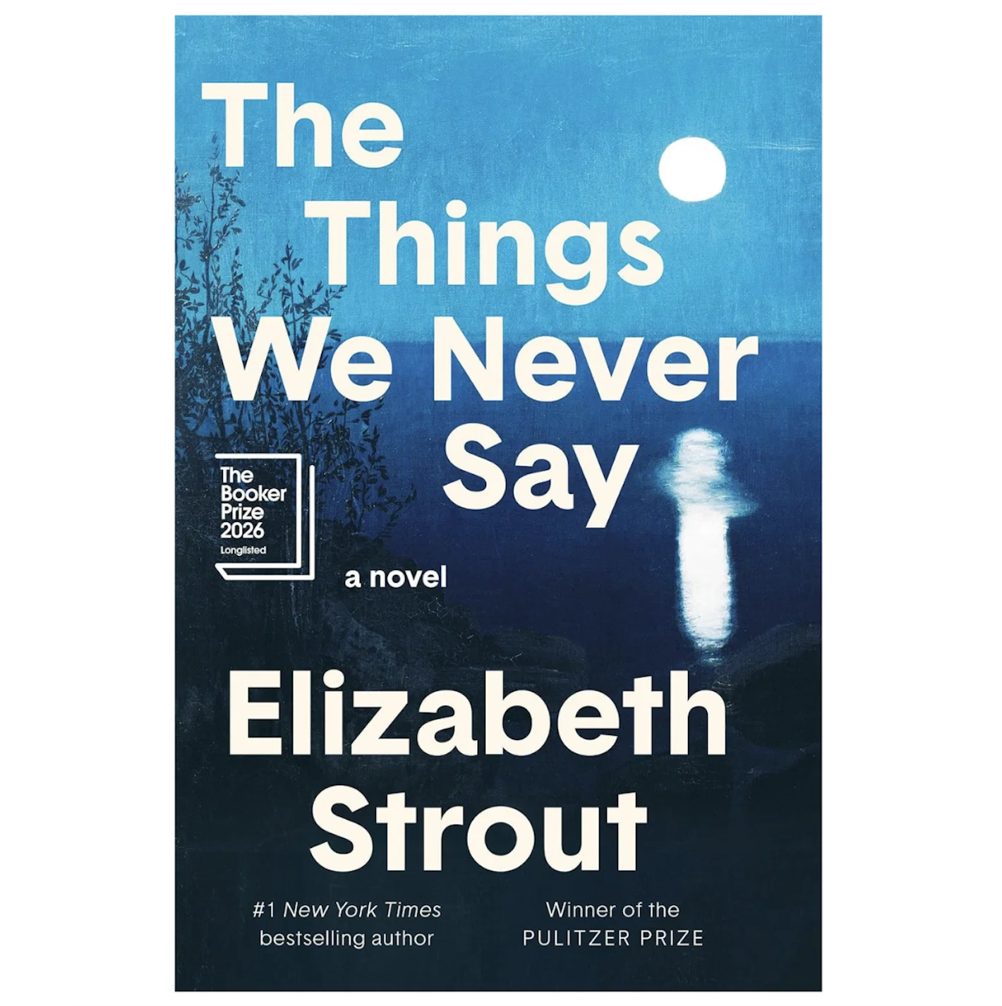 The Things We Never Say by Elizabeth Strout.