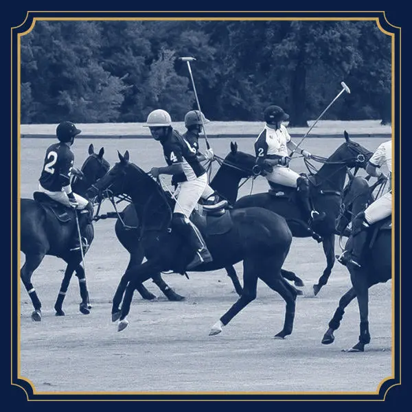 AMF POLO CUP