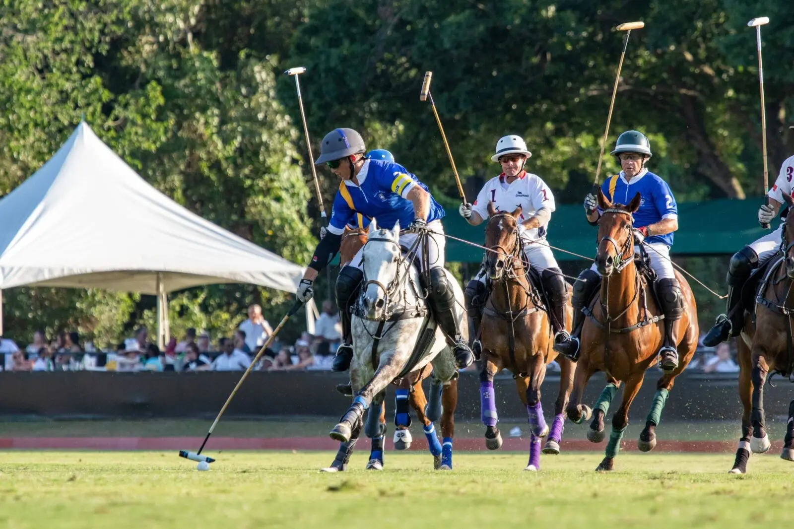 USPA H. BEN TAUB CUP by DOUGLAS ELLIMAN