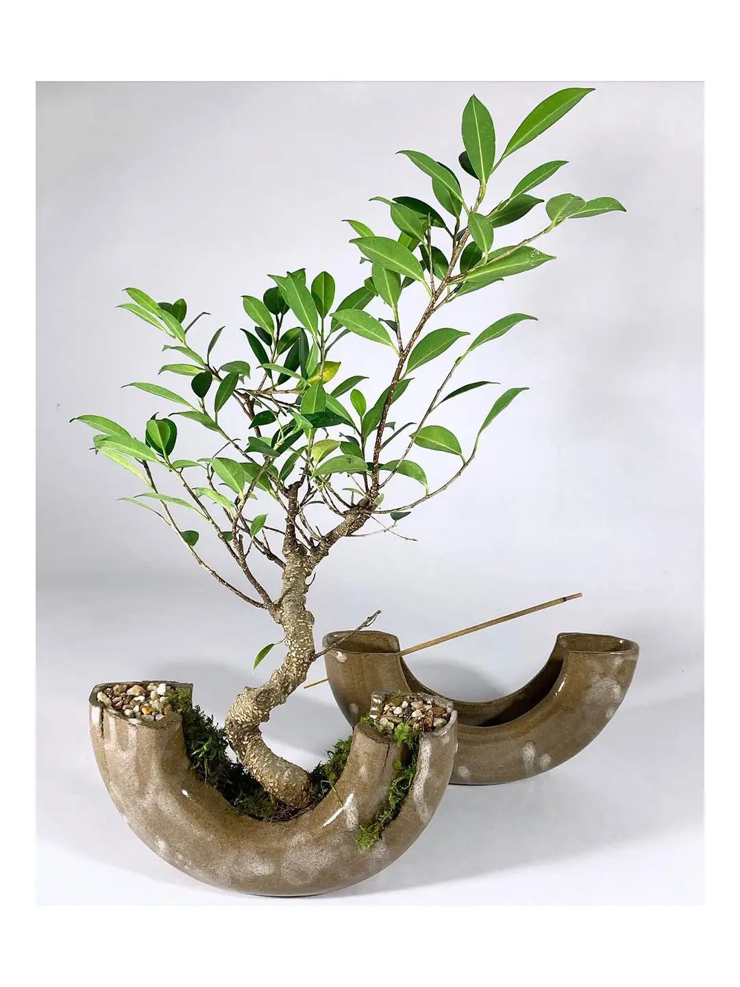 Soup Ceramics, "Bonsai & Incense," 2023, at Houston Artist Market, Picnic Surf Shapes booth, Untitled Art, Houston (Courtesy the artist and Picnic Surf Shapes, Galveston)