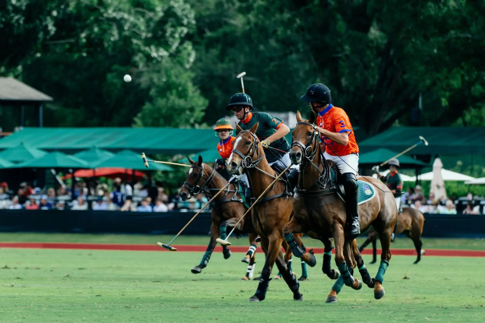 INTERNATIONAL CUP by U.S. POLO ASSN