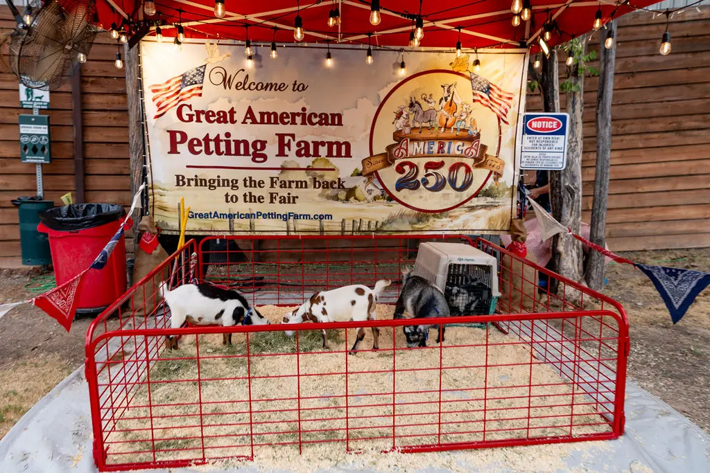 It was the perfect night to wander "the Midway," filled with vendors who offered everything from boot shining to caricatures to a full petting zoo. (Photo by Imani Black)