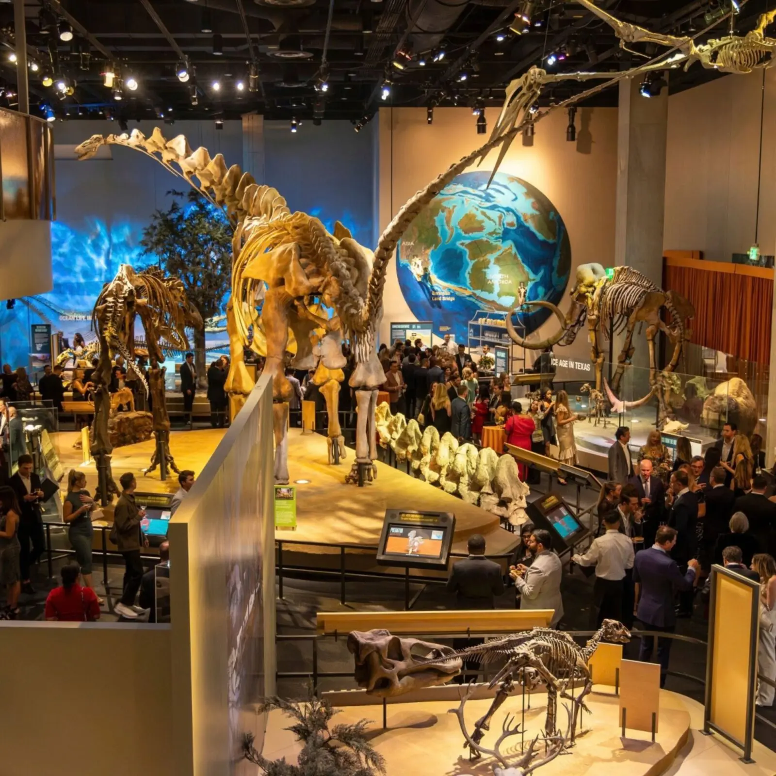 Night at the Museum