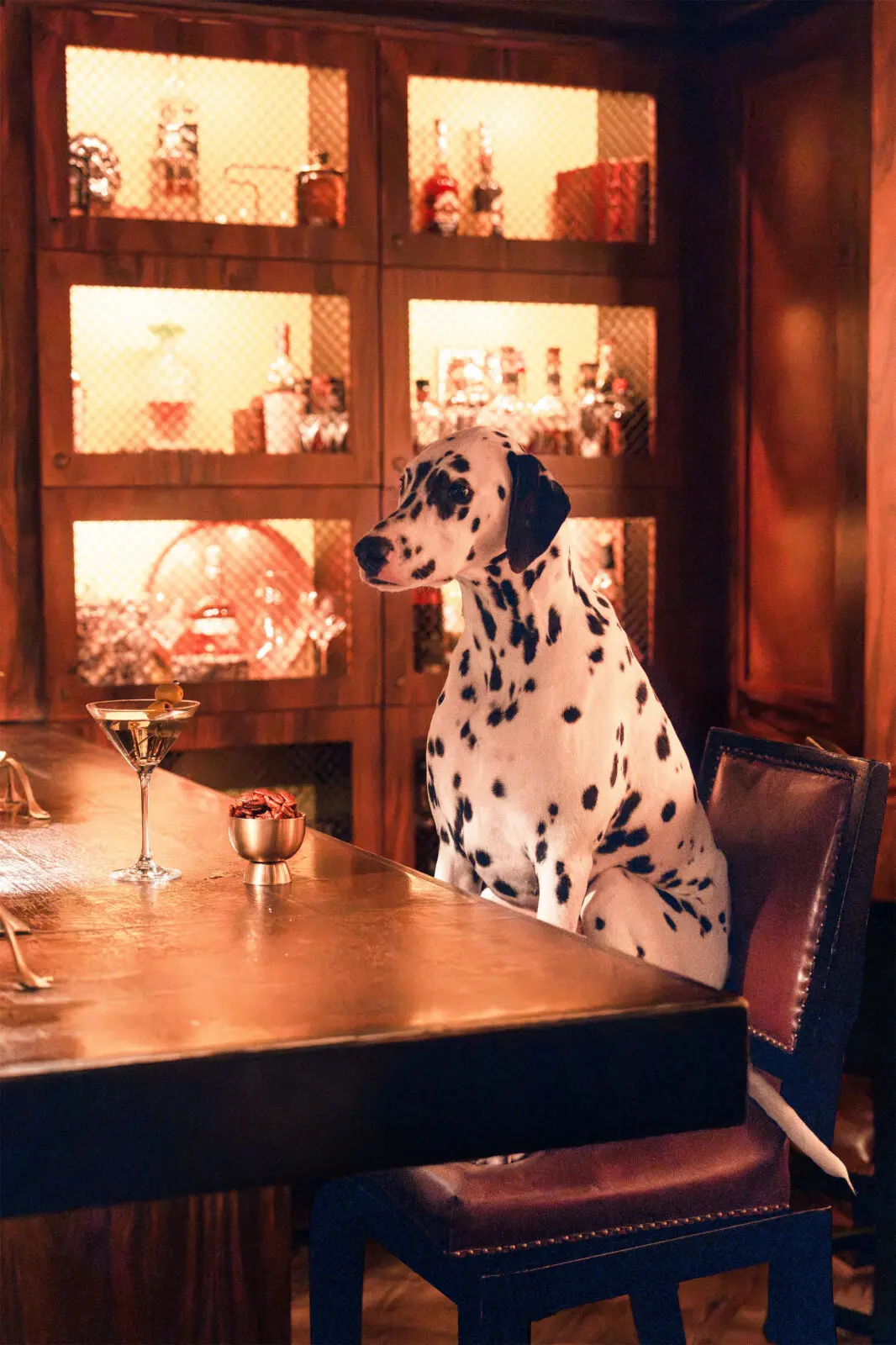 Gray Malin, "Spotted at The Mansion Bar," 2026