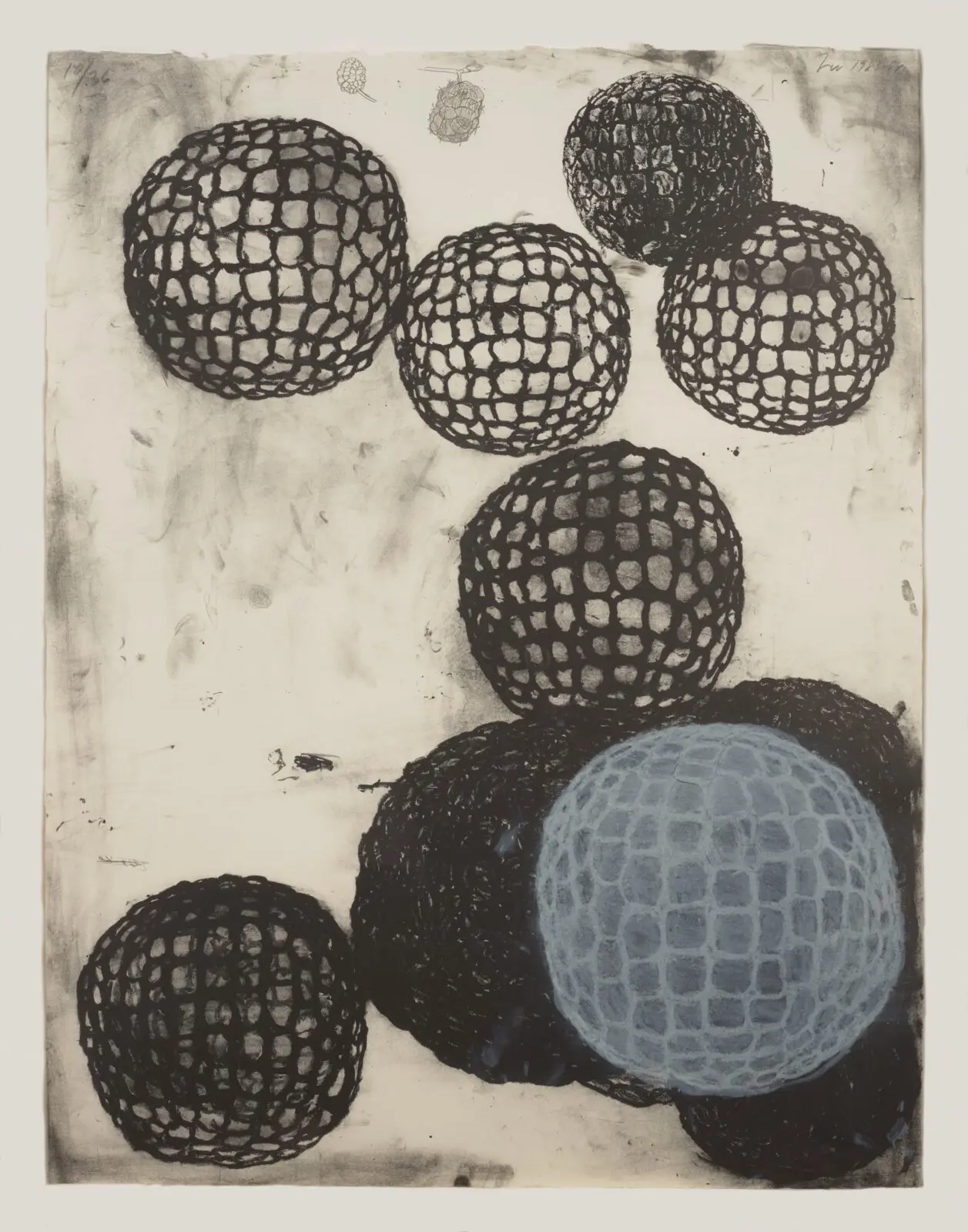 Terry Winters, "Morula III," 1983–1984, at the Menil Collection (© Terry Winters. Photo Caroline Philippone))