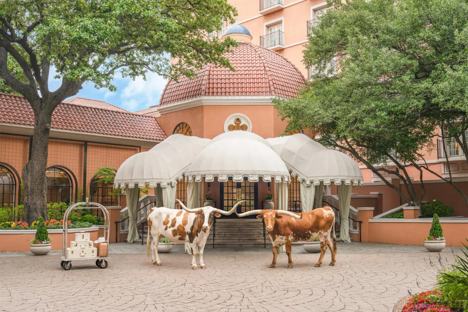 Gray Malin, "Two Longhorns, The Rosewood Mansion on Turtle Creek," 2026