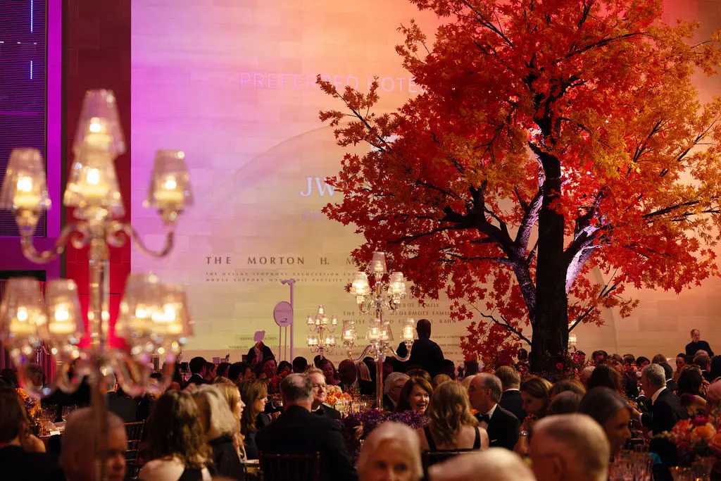 Dallas Symphony Orchestra
