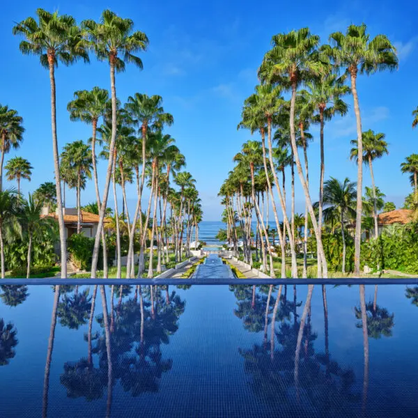 Sound Baths and Nightly Sabrage Rituals, The St. Regis Punta Mita Delights the Senses