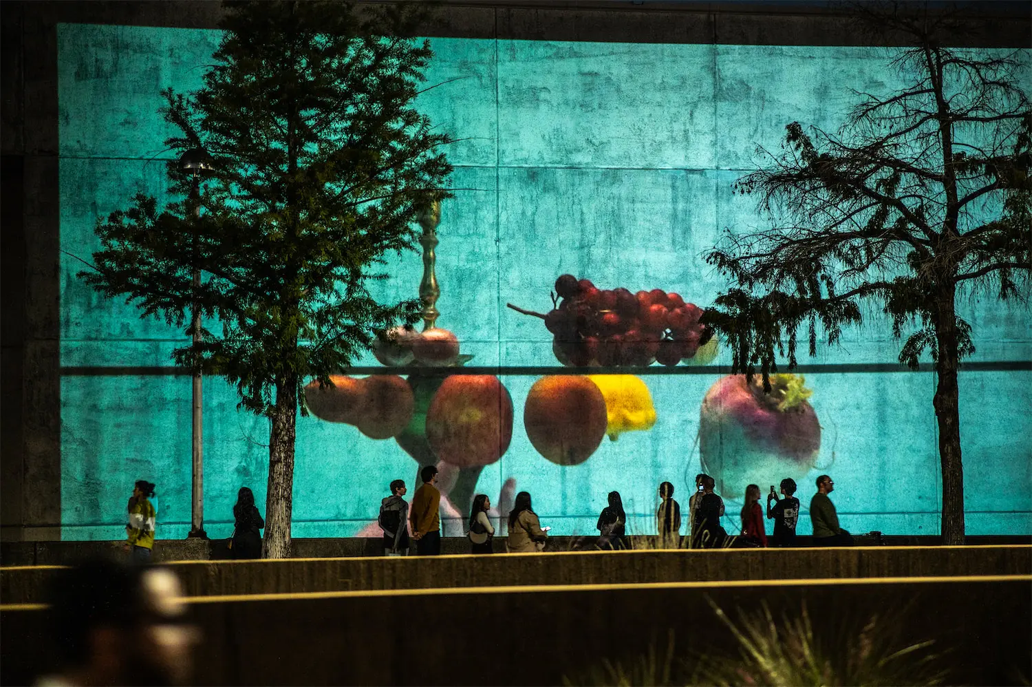Aurora2024_Alejandro-Almanza-Pereda_A-glass-of-fruit_photo-Can-Turkyilmaz
