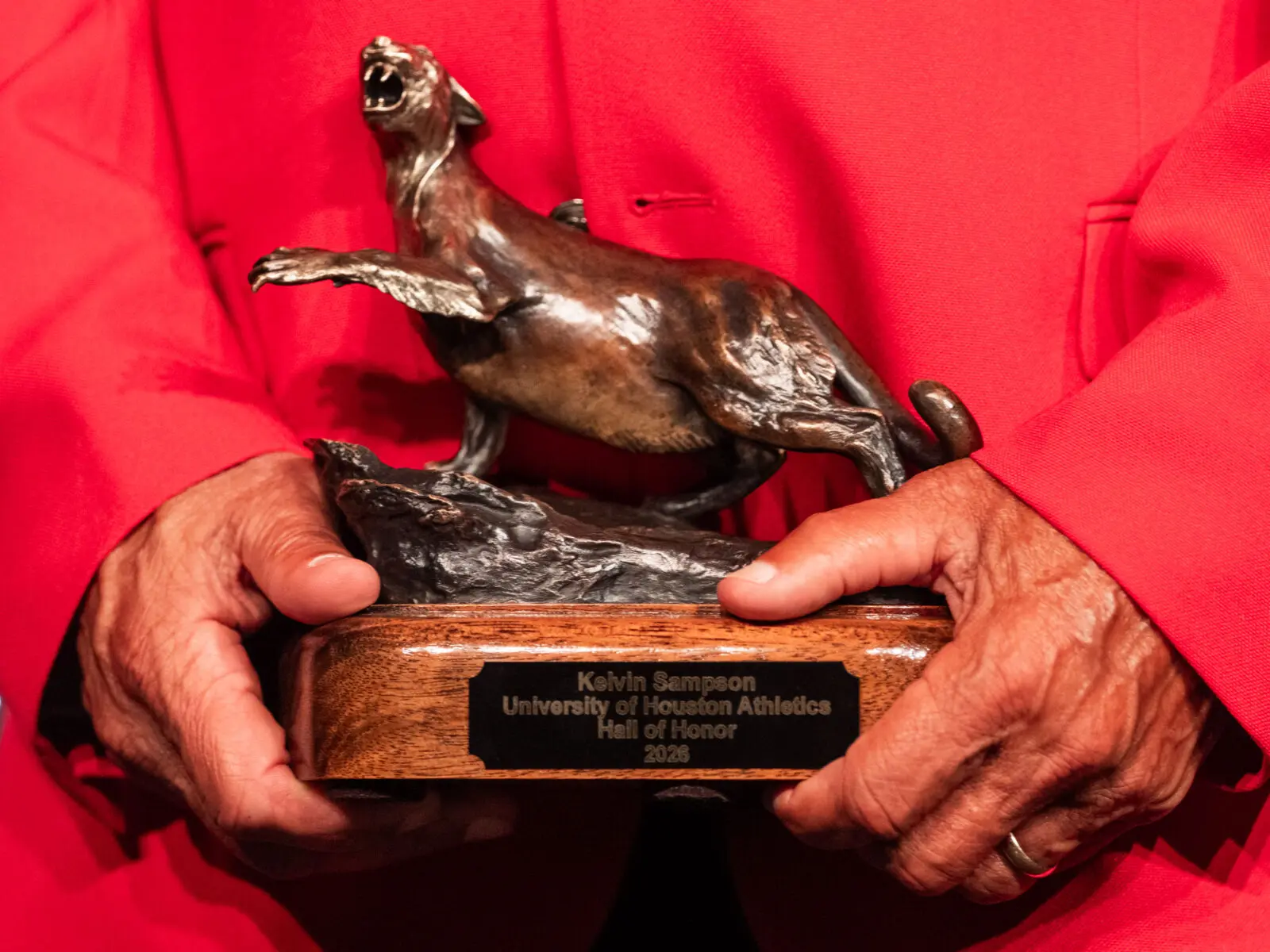 The Cougar statue that every UH Hall of Honor inductee received are distinctive.(Photo by F. Carter Smith)