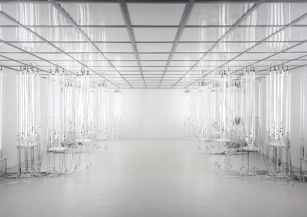 Courtesy Loris Loris Gréaud’s Does the angle between
two walls have a happy ending?, 2013,
at Punta della Dogana, Venice. Gréaud/Gréaudstudio. Photo Fulvio Orsenigo/Orch Orsenigo_Chemollo. 