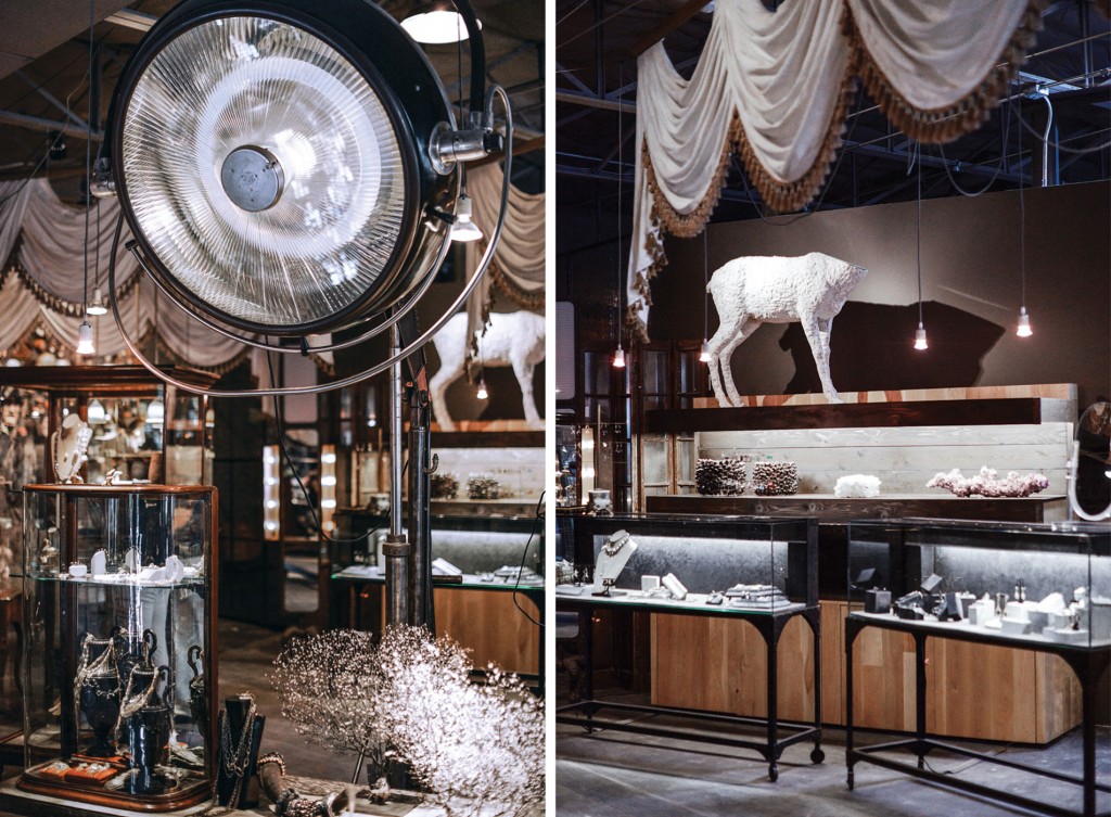 Cabinets of curiosity at Grange Hall