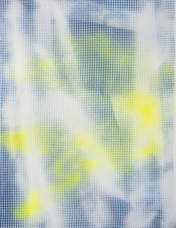 Cheryl Donegan's "Glamorous Glue," 2010, at David Shelton Gallery