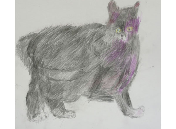 The plump "Senor Persian," circa 2013.