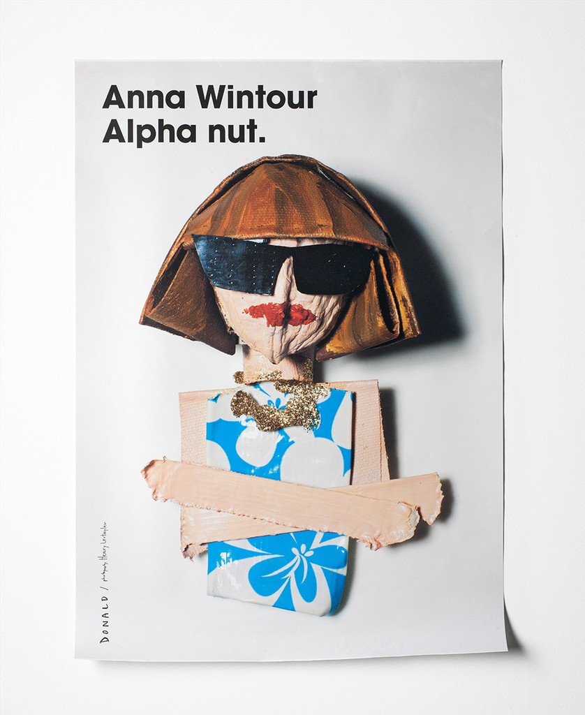 Anna Wintour, Fashion is Nuts, Donald Robertson