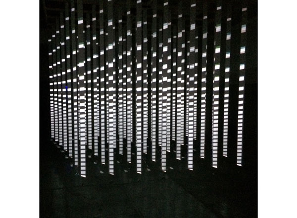 SPRING/BREAK Art Show