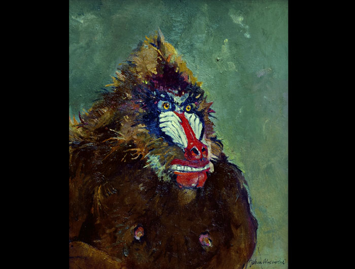 John Alexander's 'Mandrill,' 2014