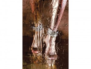 marilyn minter