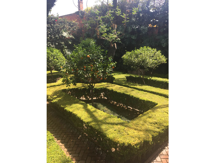 Orange trees on the immaculate grounds of Casa Hyder.
