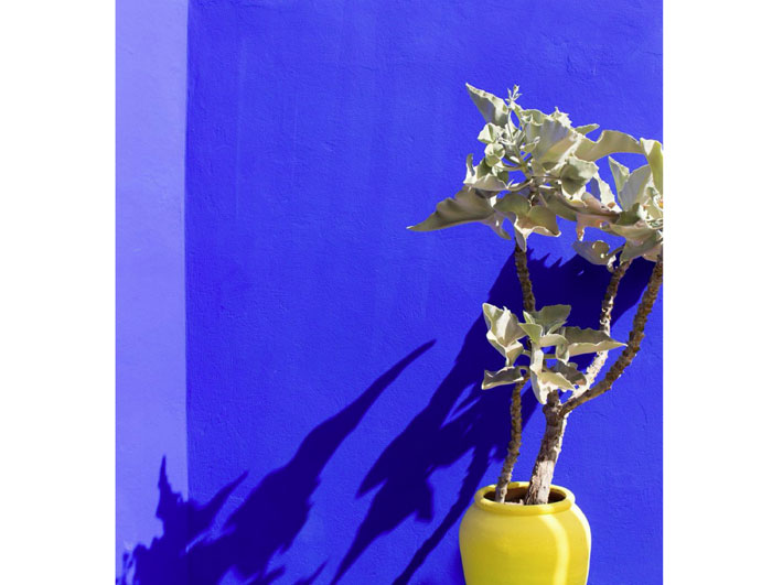 Detail of the iconic Majorelle blue walls at Yves Saint Laurent’s Jardin Majorelle