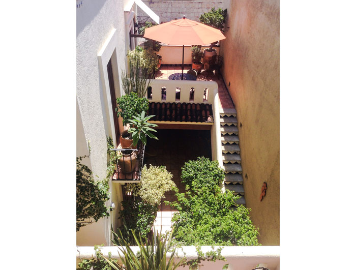 Private terrace Cecilia & Garret's apartment in Oaxaca 