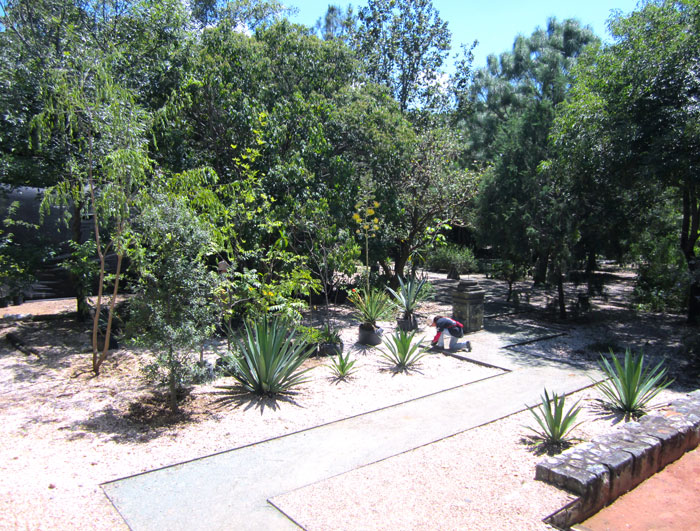 Botanic gardens of Oaxaca 
