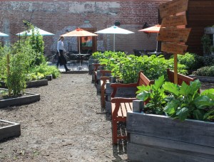 Photos by Andrea Weir