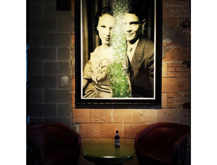 "Cactus Between Us" artwork hanging in La Grange