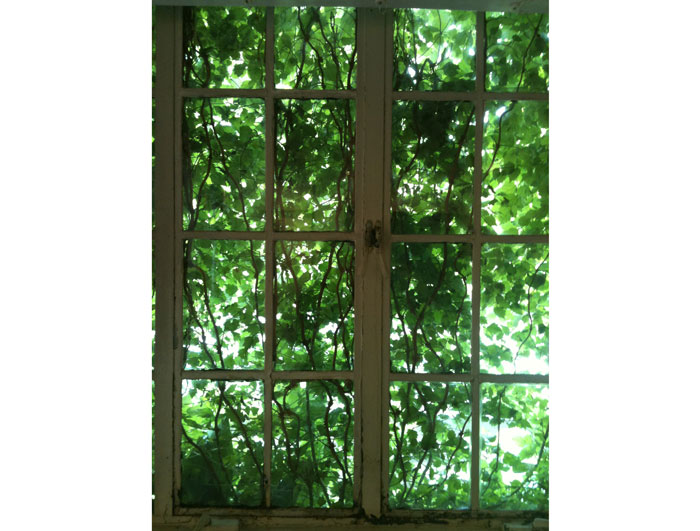 Cardoza Fine Art's modest windows are vine-encased, providing little clues to the hotbed of activity inside.  