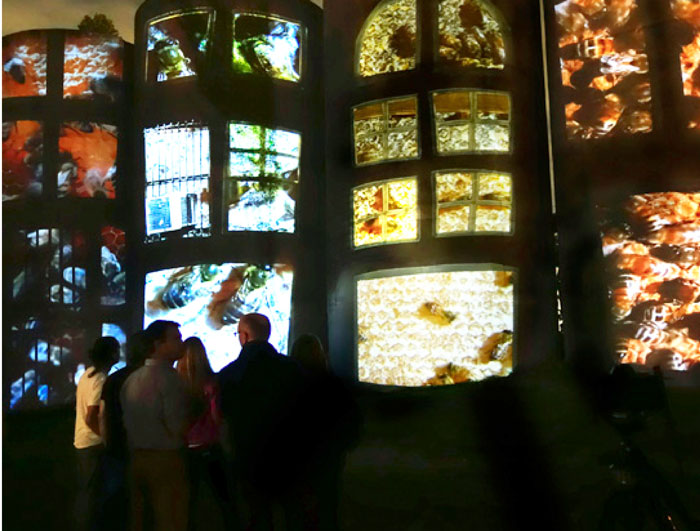 Hunter's previous outdoor video project, held last fall, was also sponsored by Houston Arts Alliance, this time as part of the Eastside celebration, "Transported + Renewed." Silos were employed as screens, while looming honeybees buzzed. Photo courtesy the artist. 
