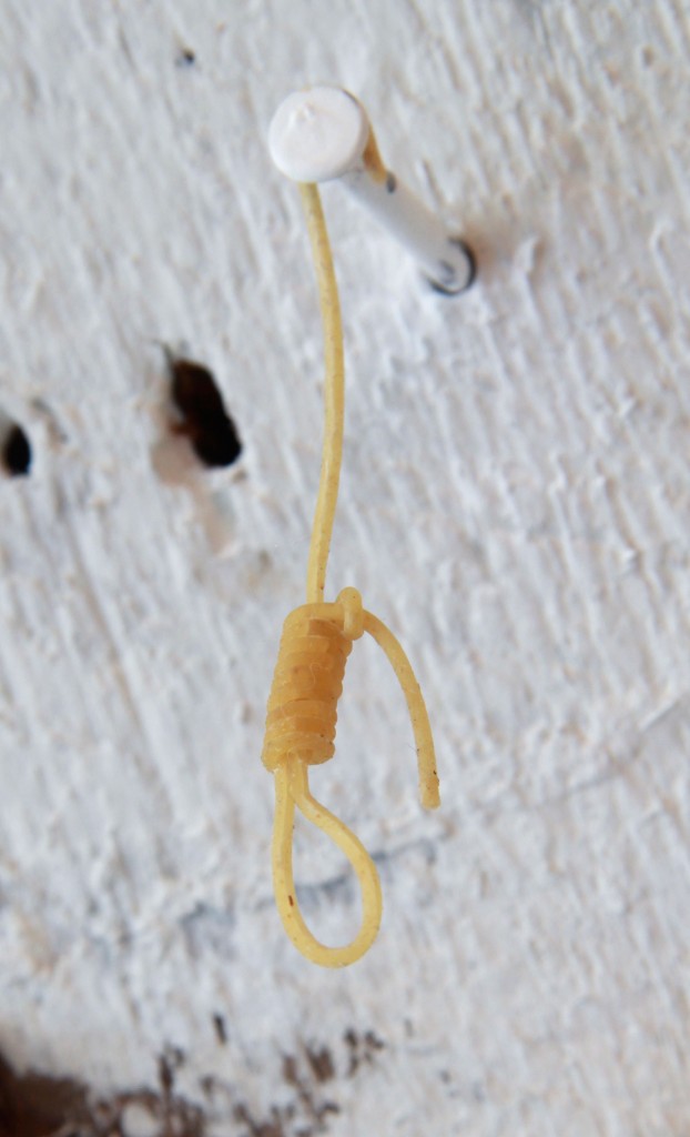 Look closely or you'd miss Iva Kinnaird's disturbingly droll "Spaghetti Noose," 2015, positioned by the art space's fuse box. Photo courtesy Iva Kinnaird.