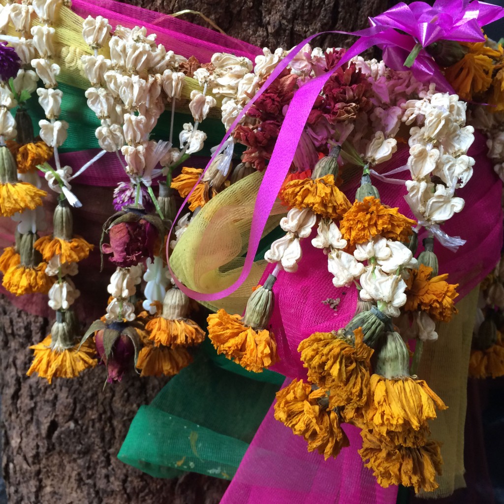 Vibrant colors are everywhere in Thailand, even wrapped around the trees.