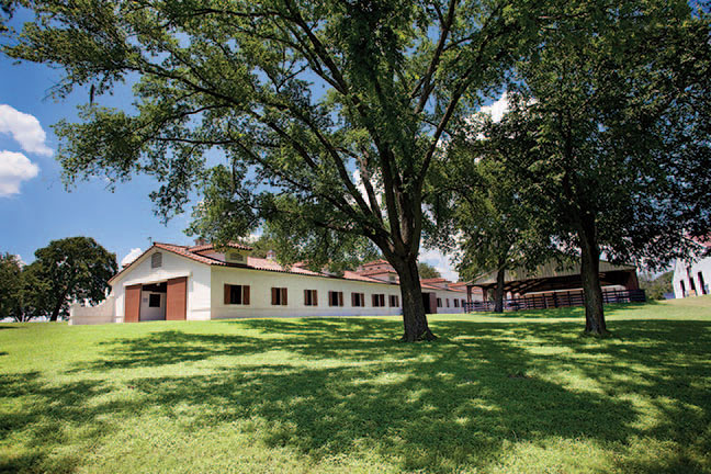 Stables at the inn