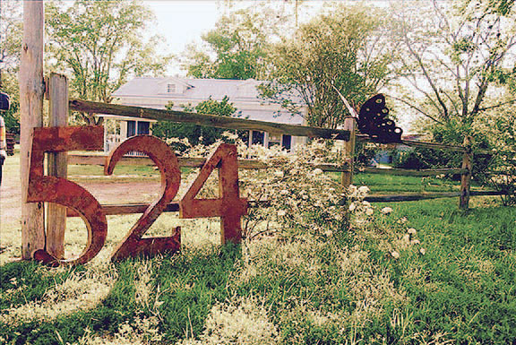 Homes by Georgia Brown  (Photography by Haylei Lauren)