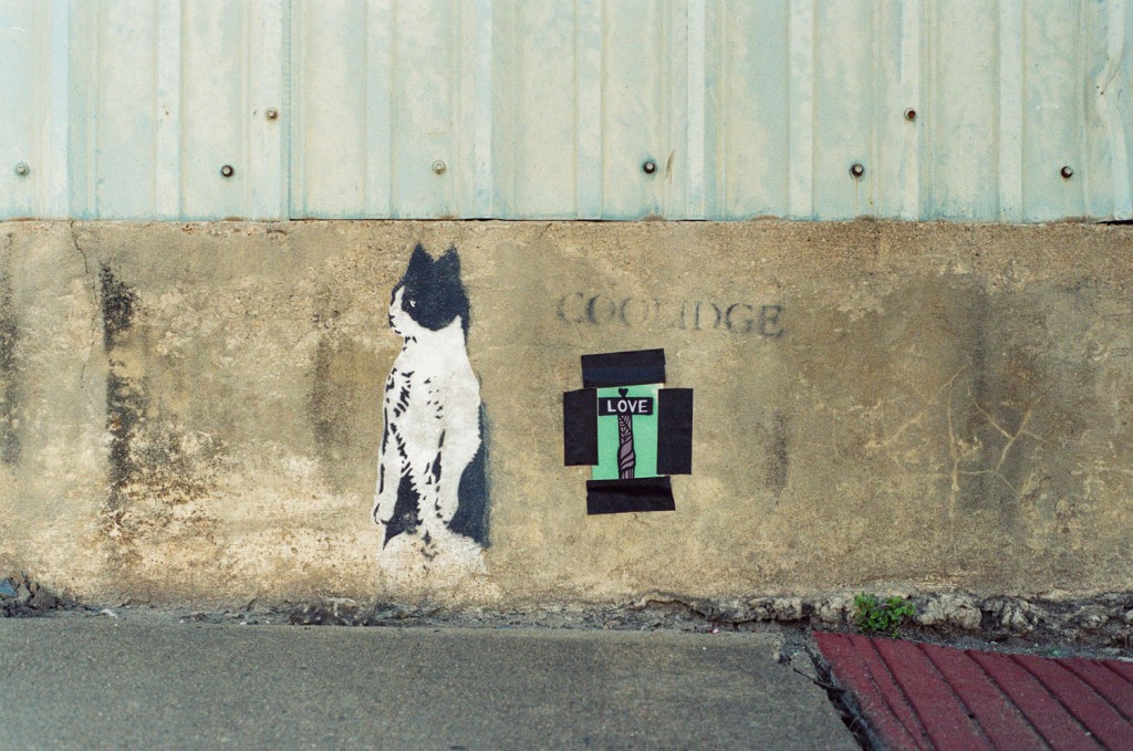 In the shadows of downtown lies one of Coolidge’s signature creature spray paintings. Here, Alex Barber (@visibleinlight) placed a photo he took of a mural by Daniel Aguilu for a passerby to take. Check out more of his photographs at http://www.visibleinlight.com.
