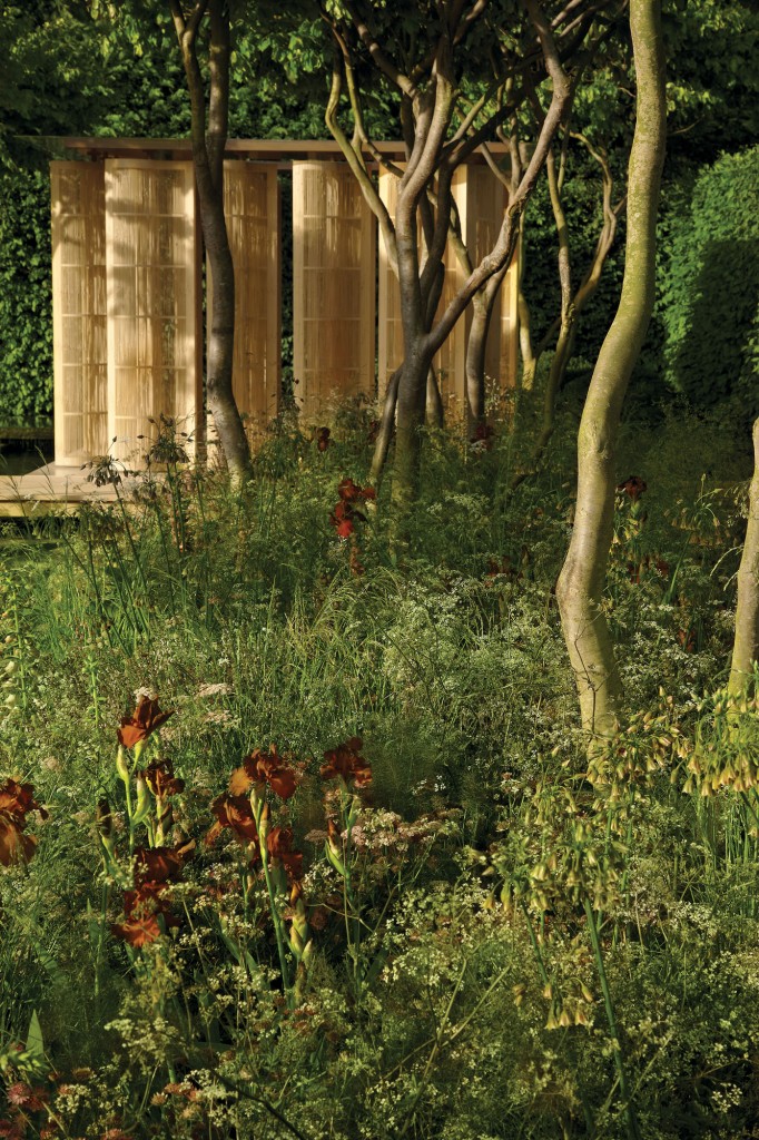 View of the Chelsea Flower Show 2011’s Gold-Medal garden by Giubbilei. (Garden images Steven Wooster, © Luciano Giubbilei)