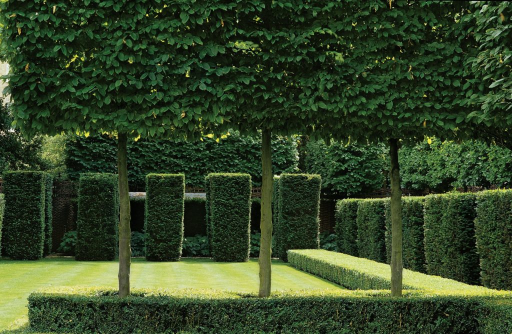 Houston’s Most Amazing Private Garden? World Champion Gardening Star Jets in From London to Work His Magic