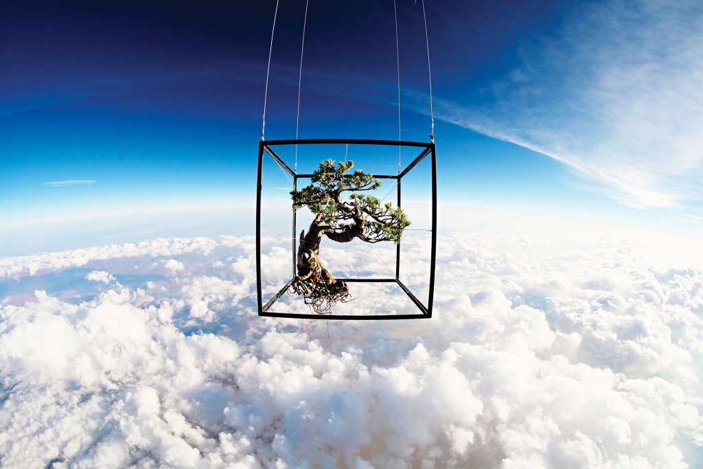 Azuma Makoto's Shiki I x Space, 2014.