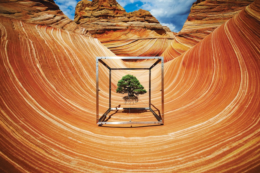 The artist's Shiki I x Sandstone, 2015. 