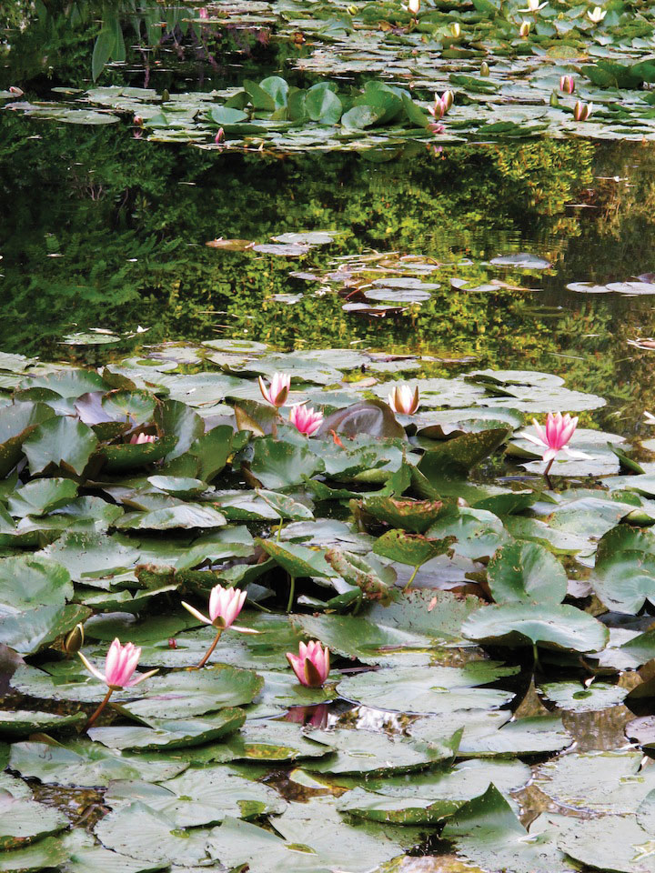 Giverny inspired Mark Fox. (Courtesy Mark Fox)