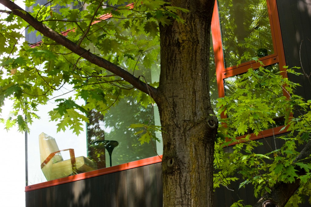 Patrizia Moroso’s house in Udine is set in a wooded area next to public parkland.