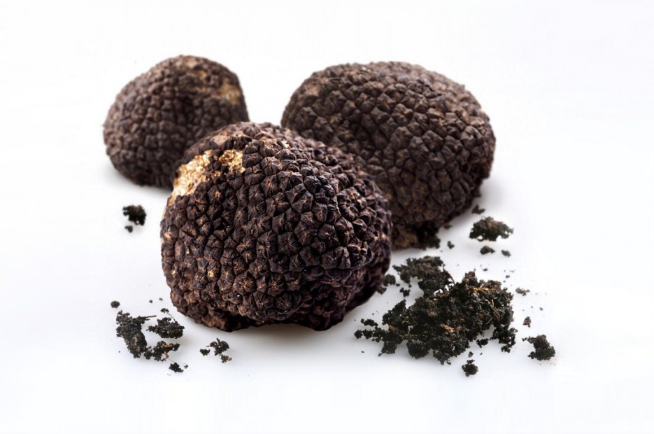 Chefs will compete using DR|Delicacy's black truffles at the second annual Truffle Chef Charity Challenge.
