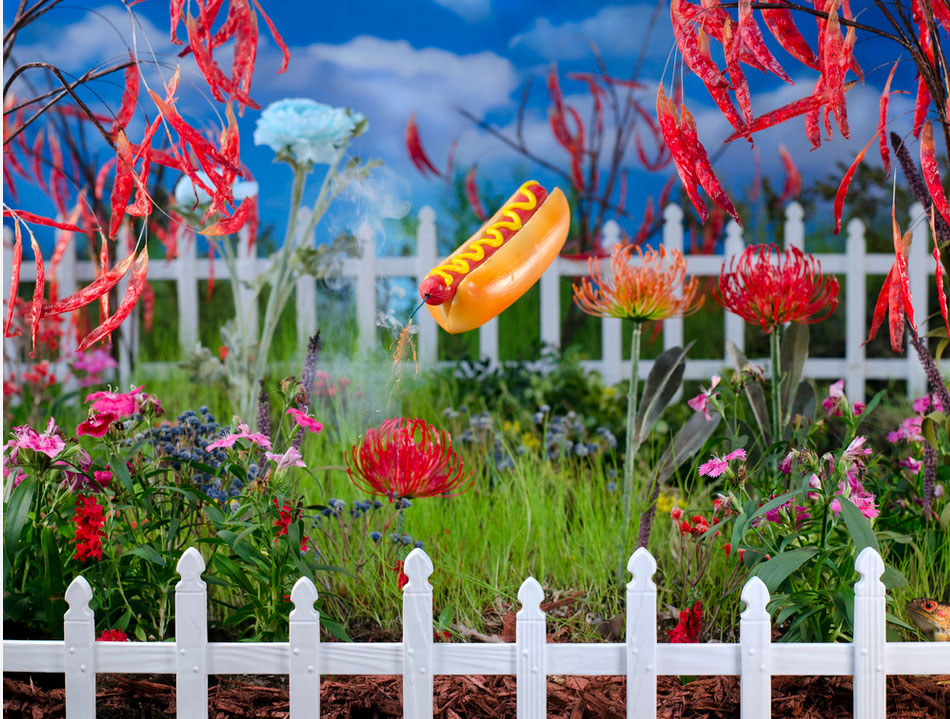 Carlo Zinzi's exploding hot dogs in hyperreal gardens were also standouts from the exhibition "Talent in Texas Vi: This Side of Paradise," co-presented by FotoFest and Houston Center for Photography.