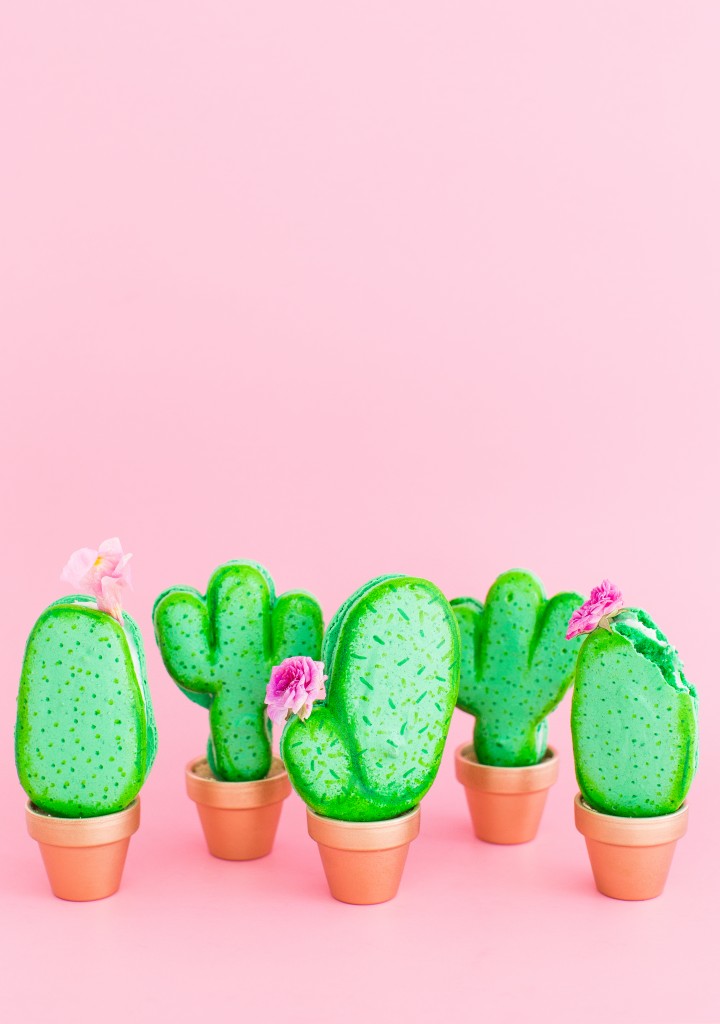 Forgo floral centerpieces for macaron cactus planters. (Photo by Jared Smith) 