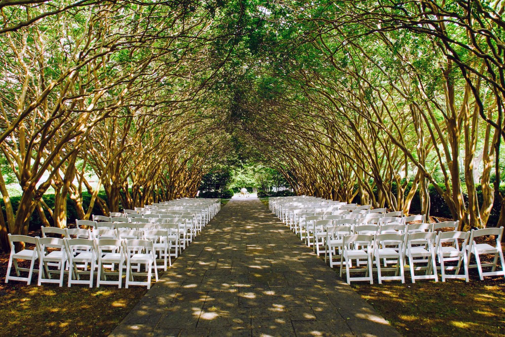 The Dallas Arboretum set the scene for a magical evening.