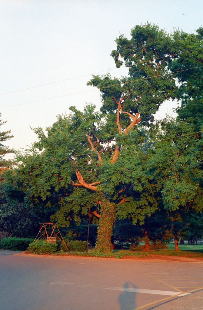 Akin and his trusty Contax G2 camera and the artist both appear in this self-portrait at The Parthenon, Nashville.